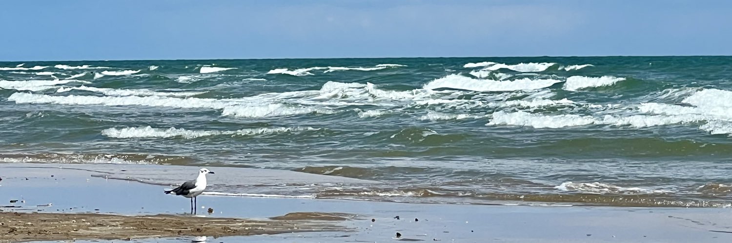 MrsDedman's profile banner image