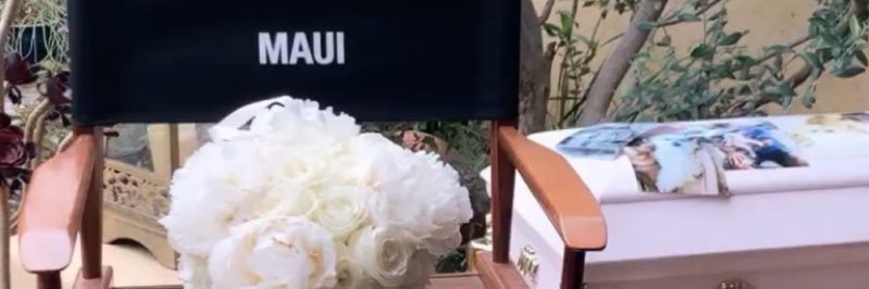 maui_lovebug's profile banner image
