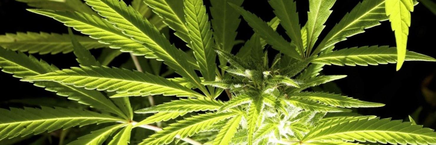 thehighscotsman's profile banner image