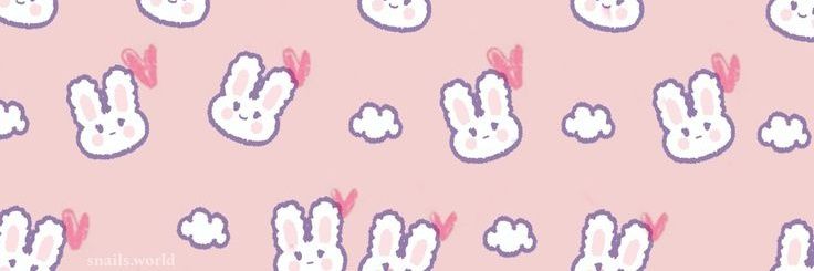SoftforSoobinie's profile banner image