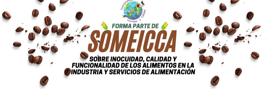 SOMEICCA's profile banner image