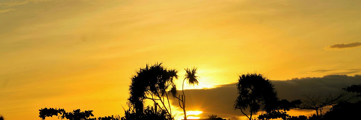 Aan_SCAF's profile banner image