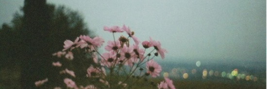 oscoxa's profile banner image