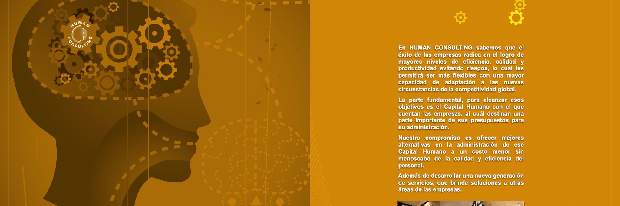 HumanQro's profile banner image