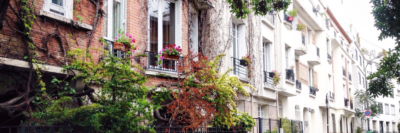 CatherineRose banner