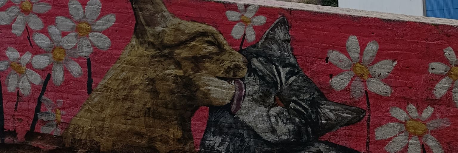 taisupe's profile banner image