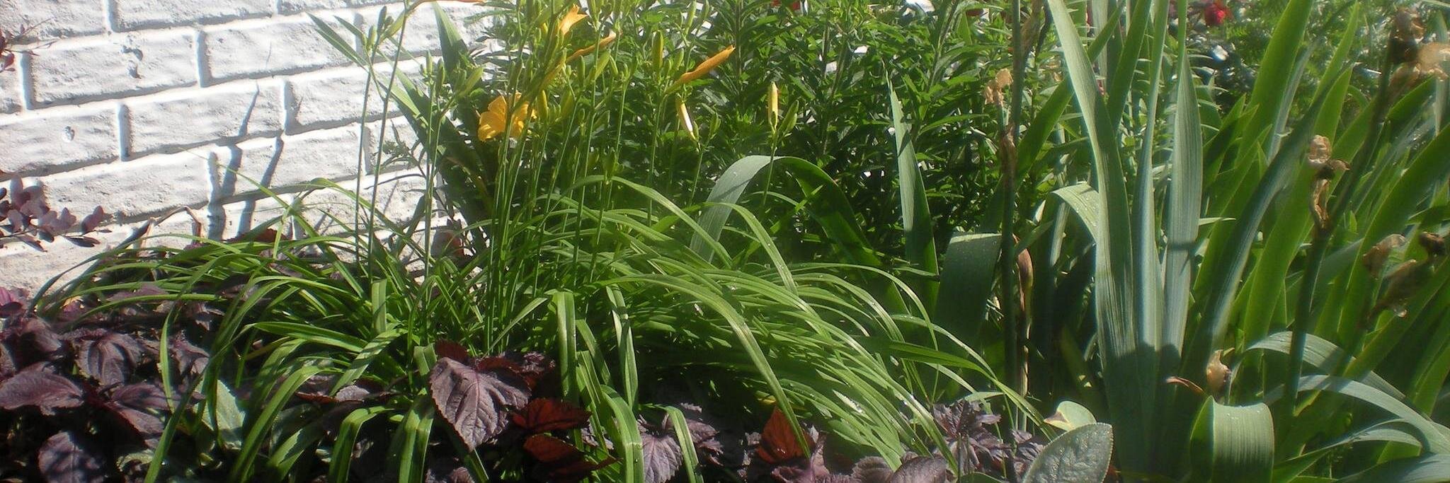 itsgardeningtime banner
