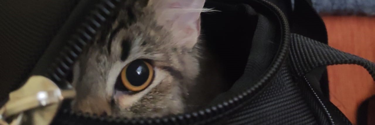 buracob's profile banner image