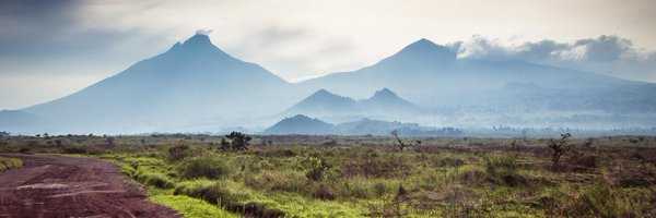 AlistairAWalsh Profile Banner