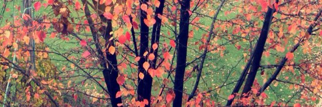 AaaRafal's profile banner image
