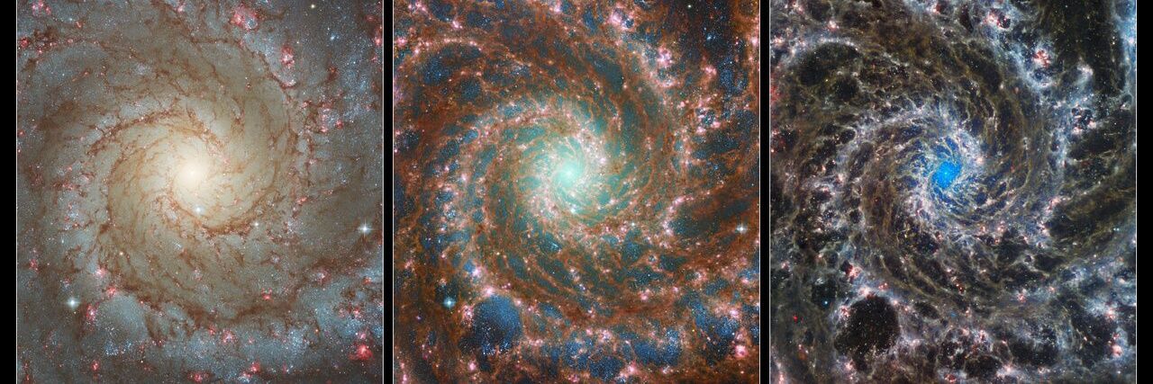 Ardhi, fossil enjoyer banner