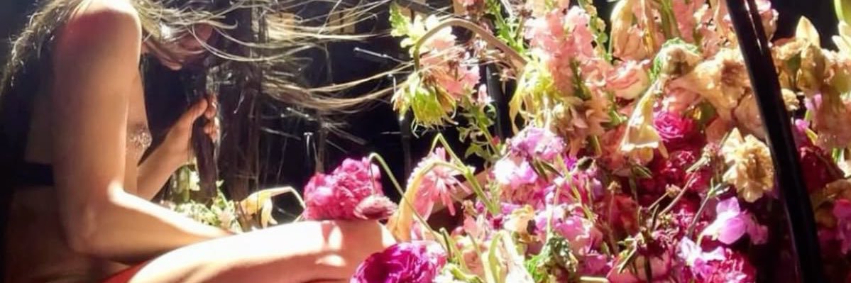 lillyfillaas's profile banner image