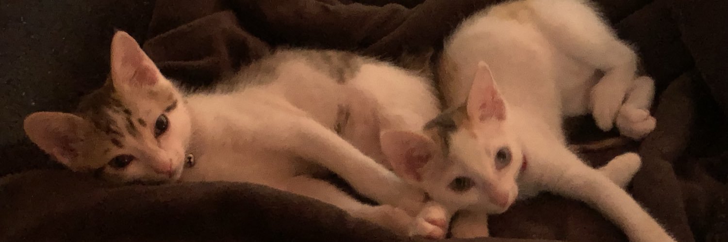 Orchard🦅(ｵｰﾁｬｰﾄﾞ banner