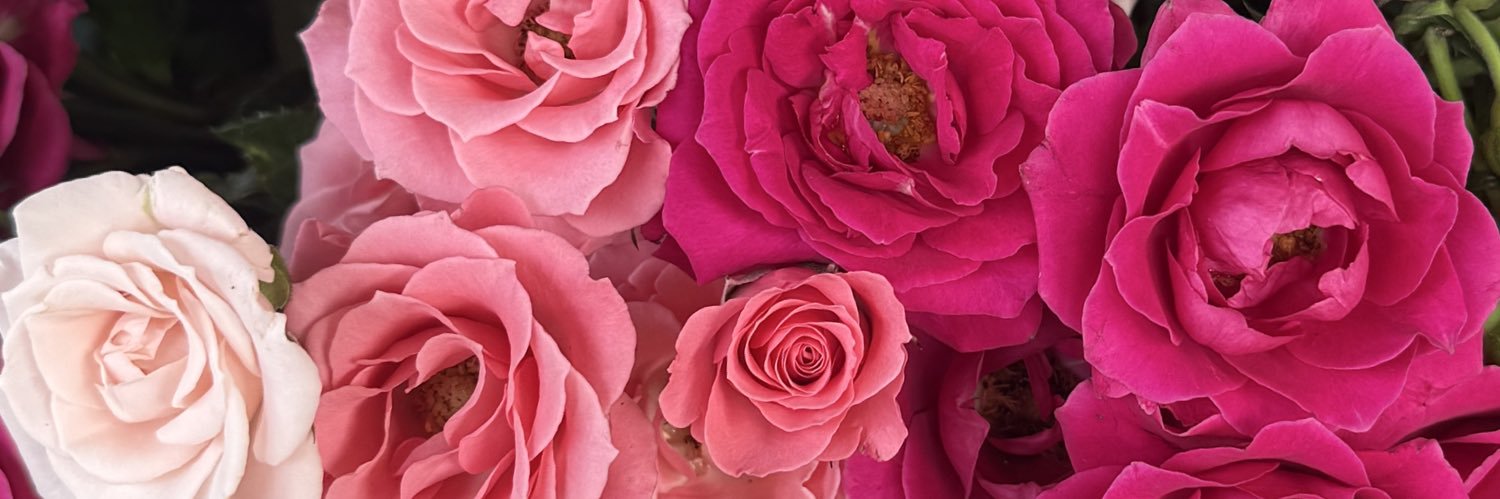Ana Carla Porto banner