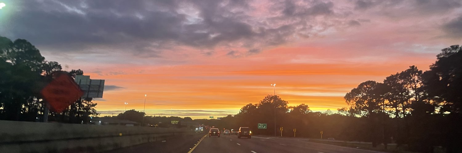 thestepheaster's profile banner image