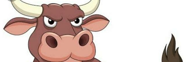 sdube789's profile banner image