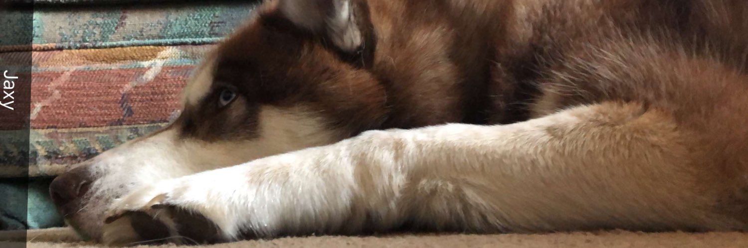 almighty_blade's profile banner image