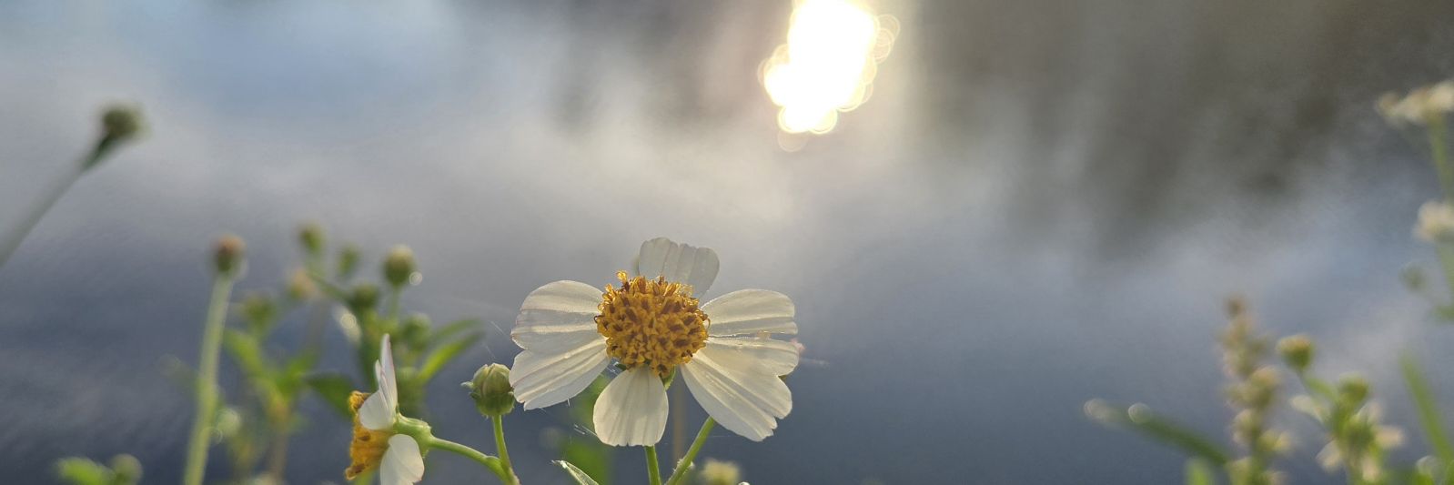 annmore78's profile banner image