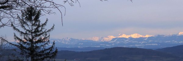 mkowa1 Profile Banner