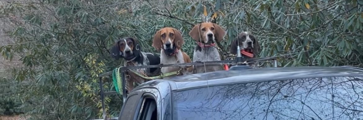 _breee14's profile banner image