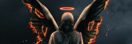 FVanseghi's profile banner image