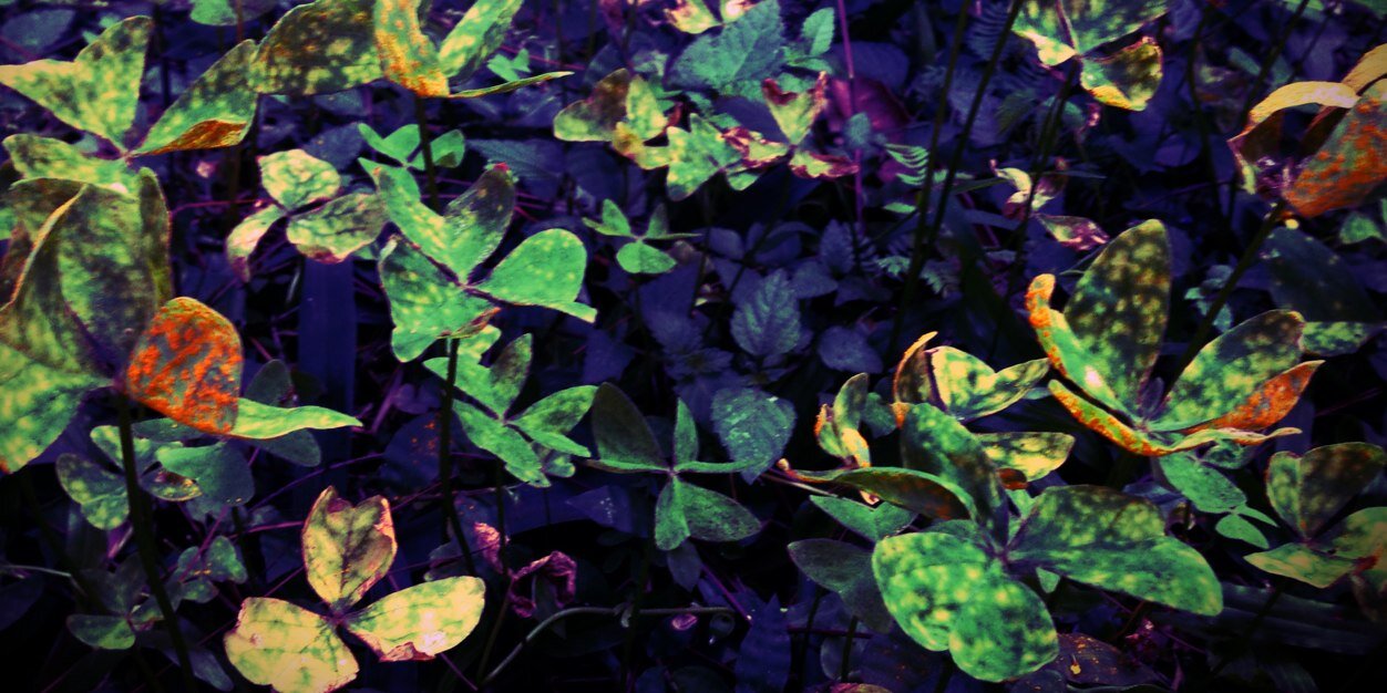 emersilmar's profile banner image