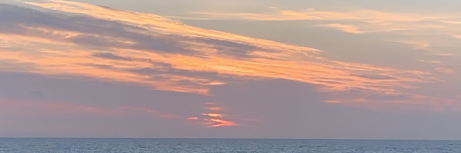caaandefloress's profile banner image