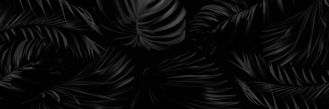 Arthur Jan banner