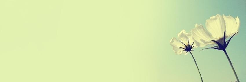 AmandaSpalla1's profile banner image