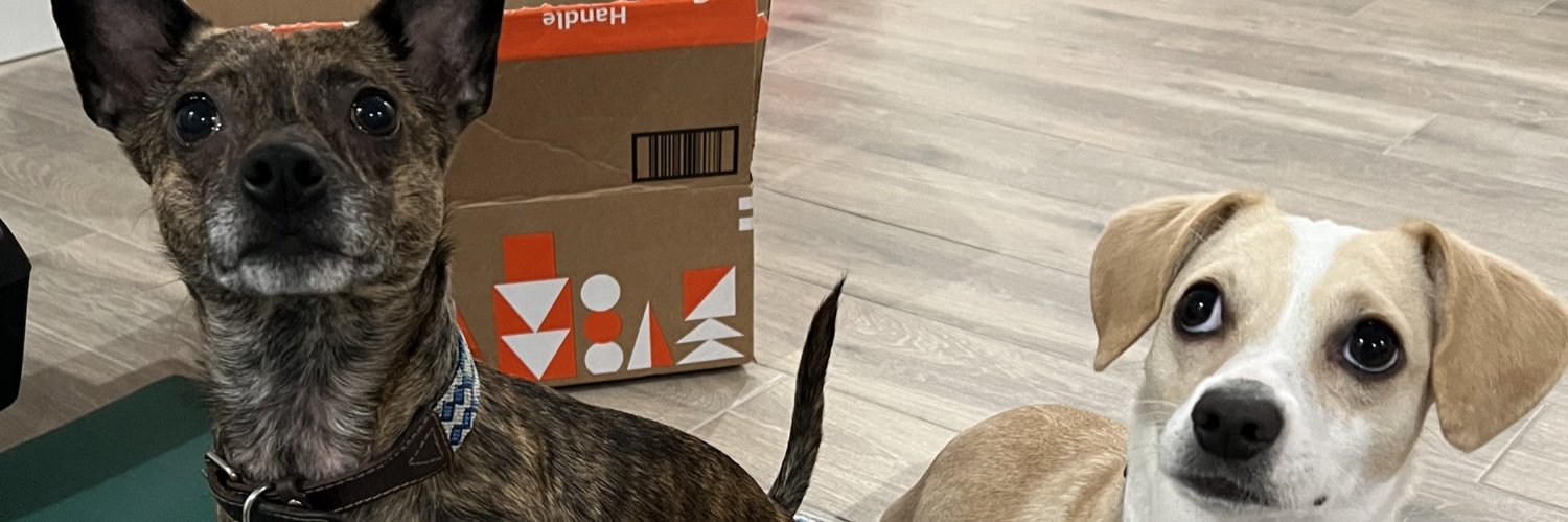 CollsCloset's profile banner image