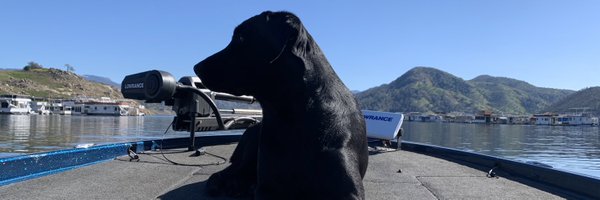 t_qualls8 Profile Banner