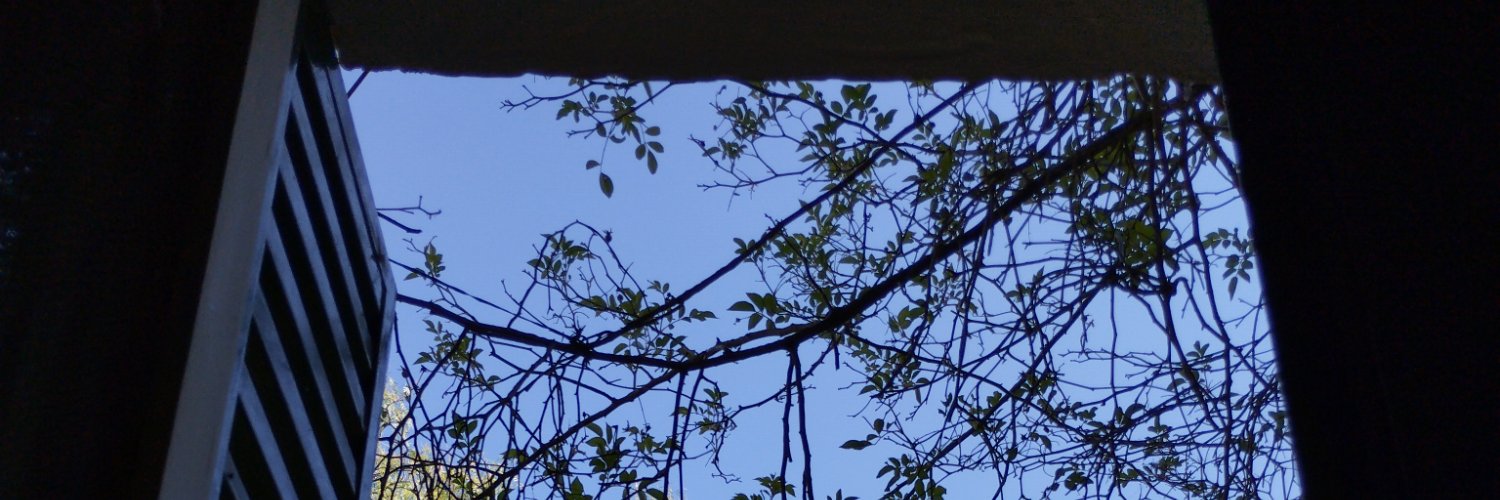 NInapapaYA's profile banner image