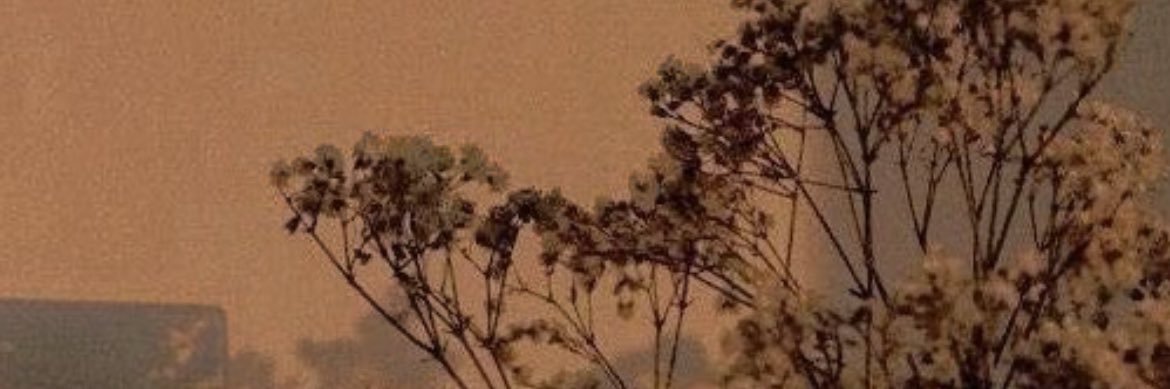 denisse9529's profile banner image
