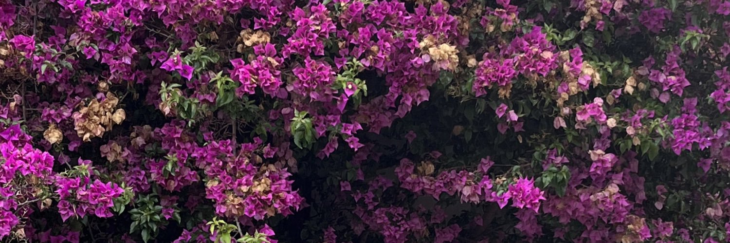 valentinakellyy's profile banner image