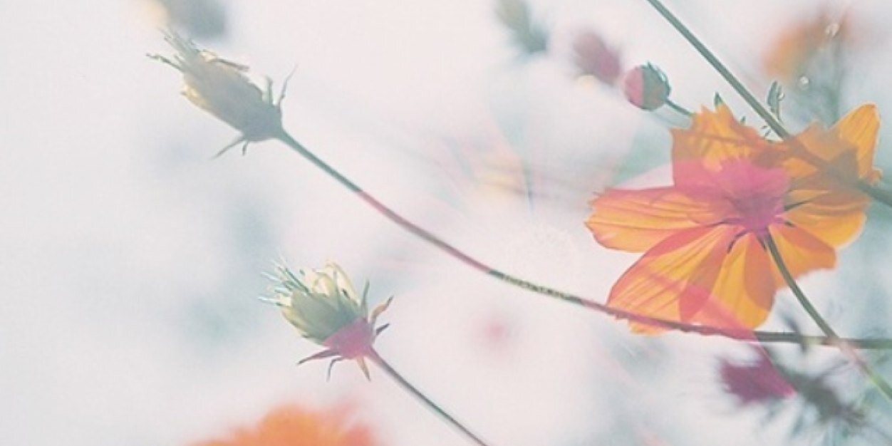 Sammarie626's profile banner image