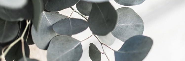 _nadyabisram's profile banner image
