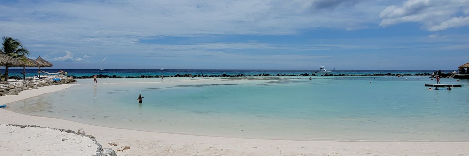 cbakonyi's profile banner image