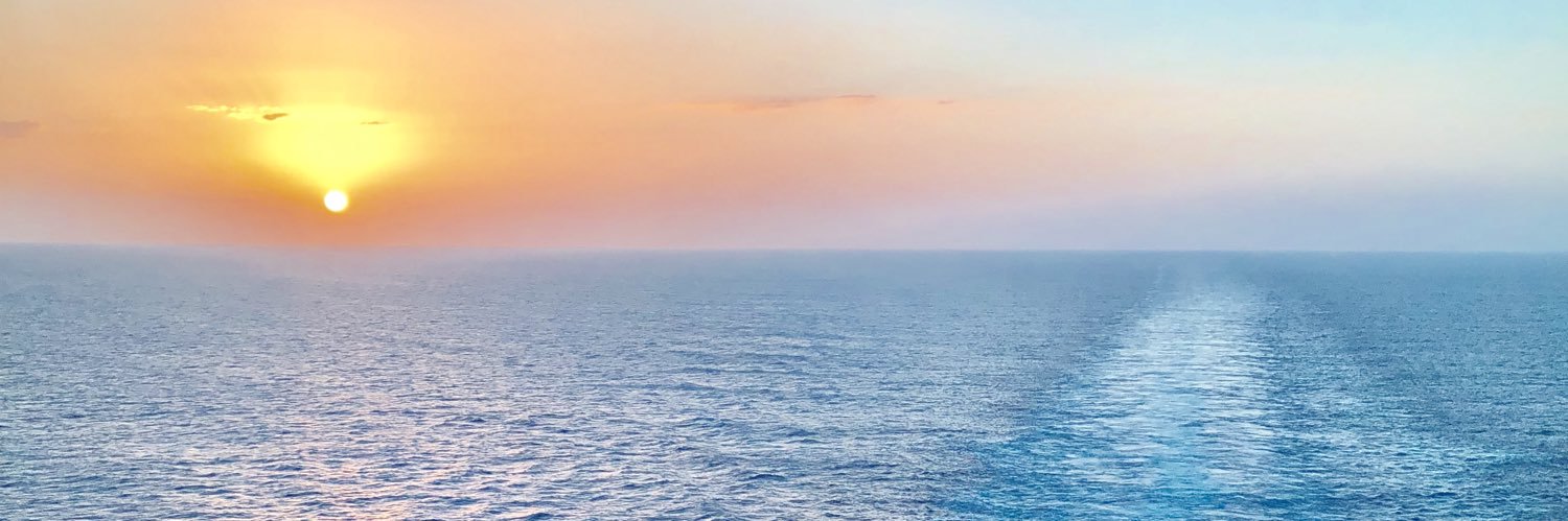 Alicia Anez banner