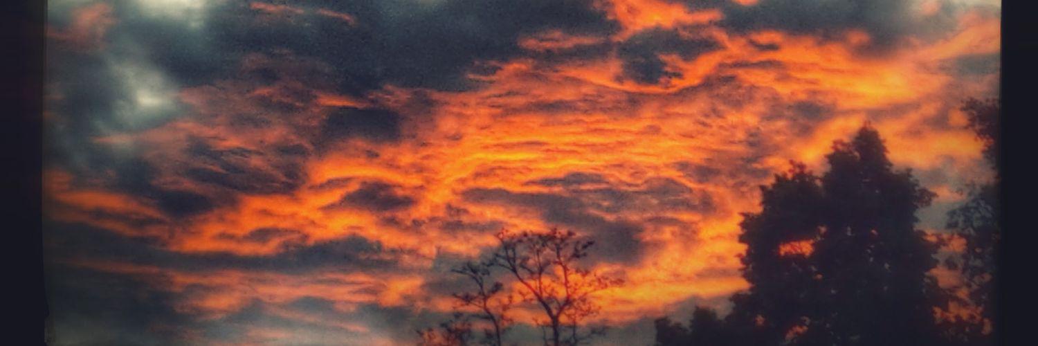 johnsanchez9991's profile banner image