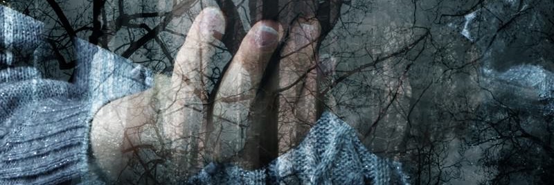 Krista_Teearu's profile banner image