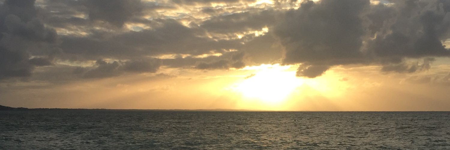 Lilywilliams01's profile banner image