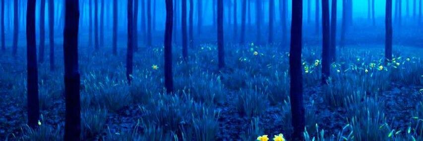 Un tal Hernán banner