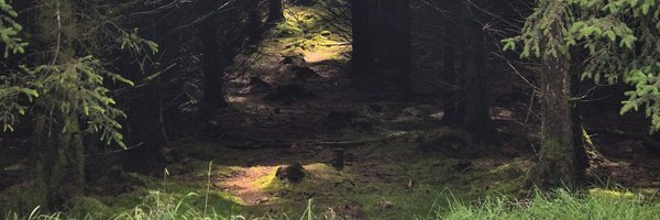 MaryProsser6 Profile Banner