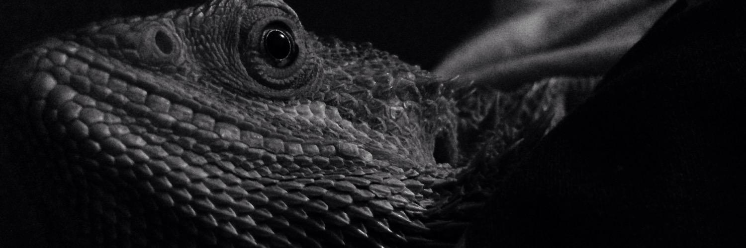 Bill_chatz's profile banner image