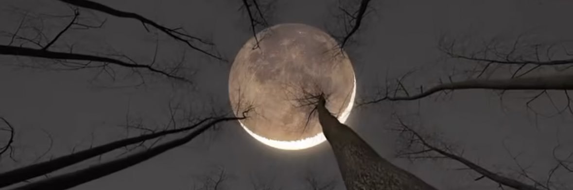 ipostanynevery's profile banner image