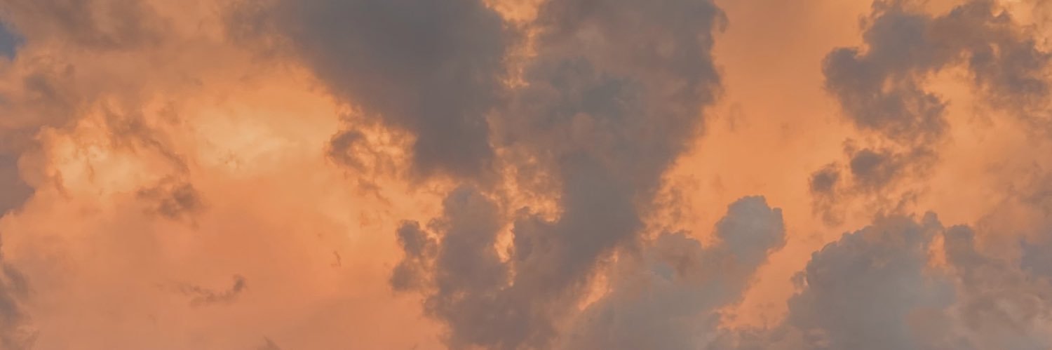 rochizap's profile banner image