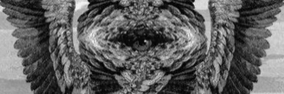 NOSLEEPgetmoney's profile banner image
