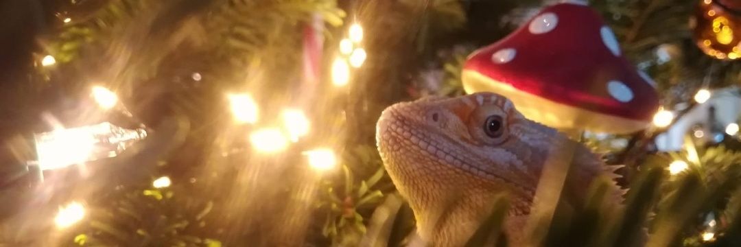 𓆏Marnix𓆏 banner