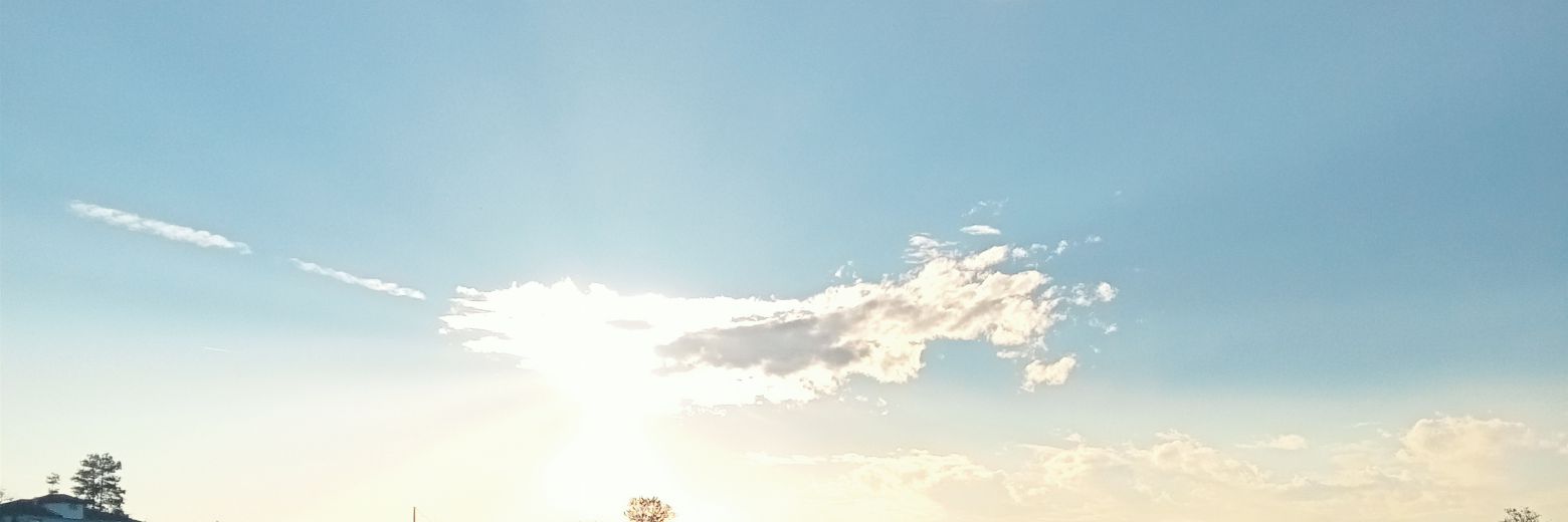 ferideeraydn's profile banner image