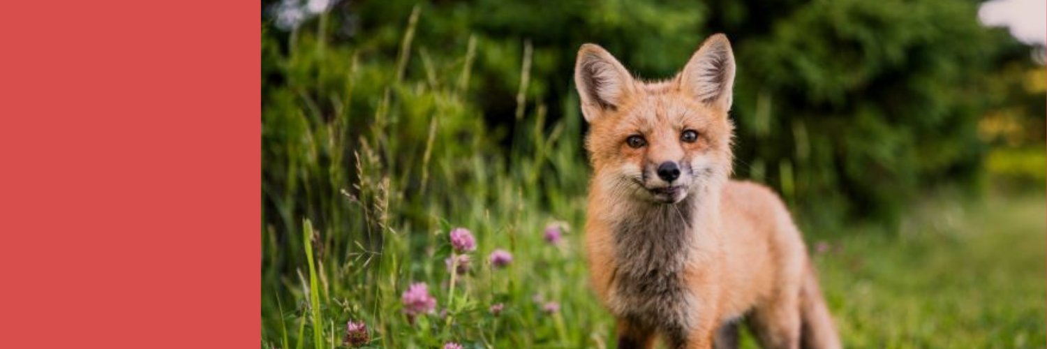 Concerned Canadian Citizen 🇨🇦 banner